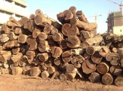 在非洲什么木种销售量最多:介绍十二种最常见的非洲进口木材